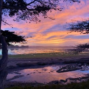 Meet your Posher, Carin